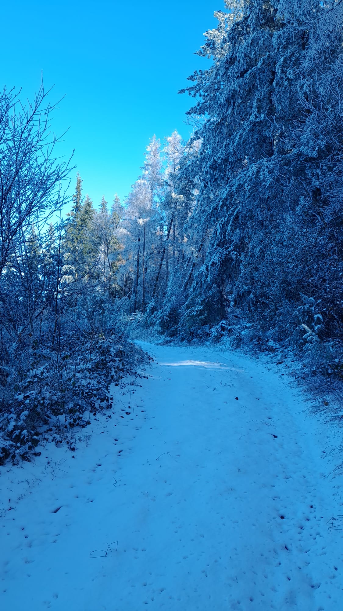 Galerie Domaine de la Rizolière 3