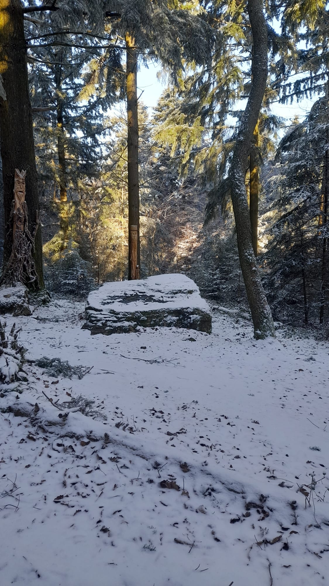 Galerie Domaine de la Rizolière 4