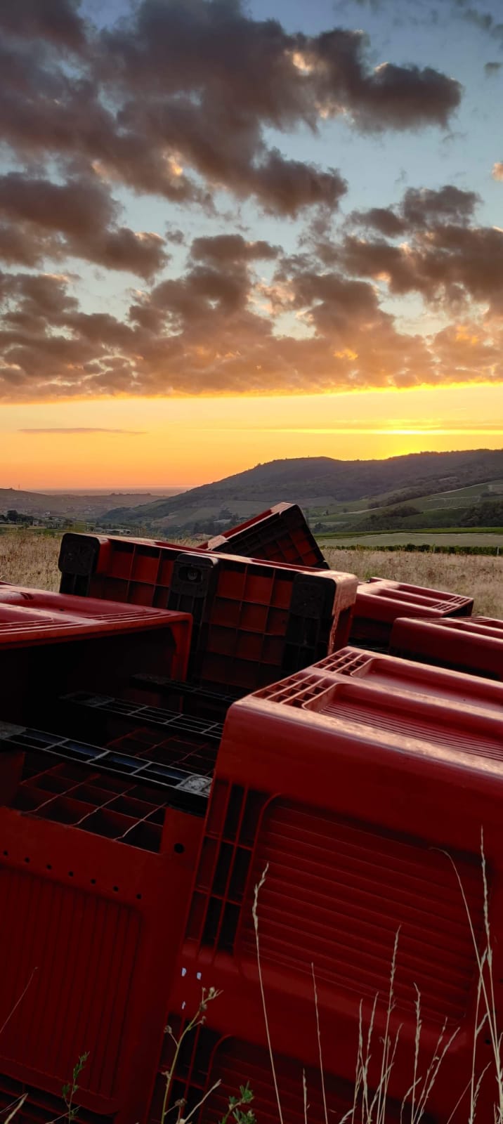 Galerie Domaine de la Rizolière 7