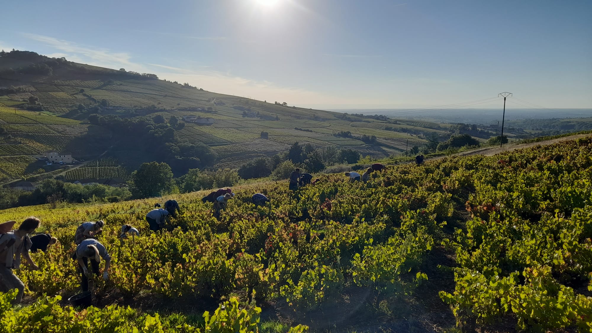 Galerie Domaine de la Rizolière 1