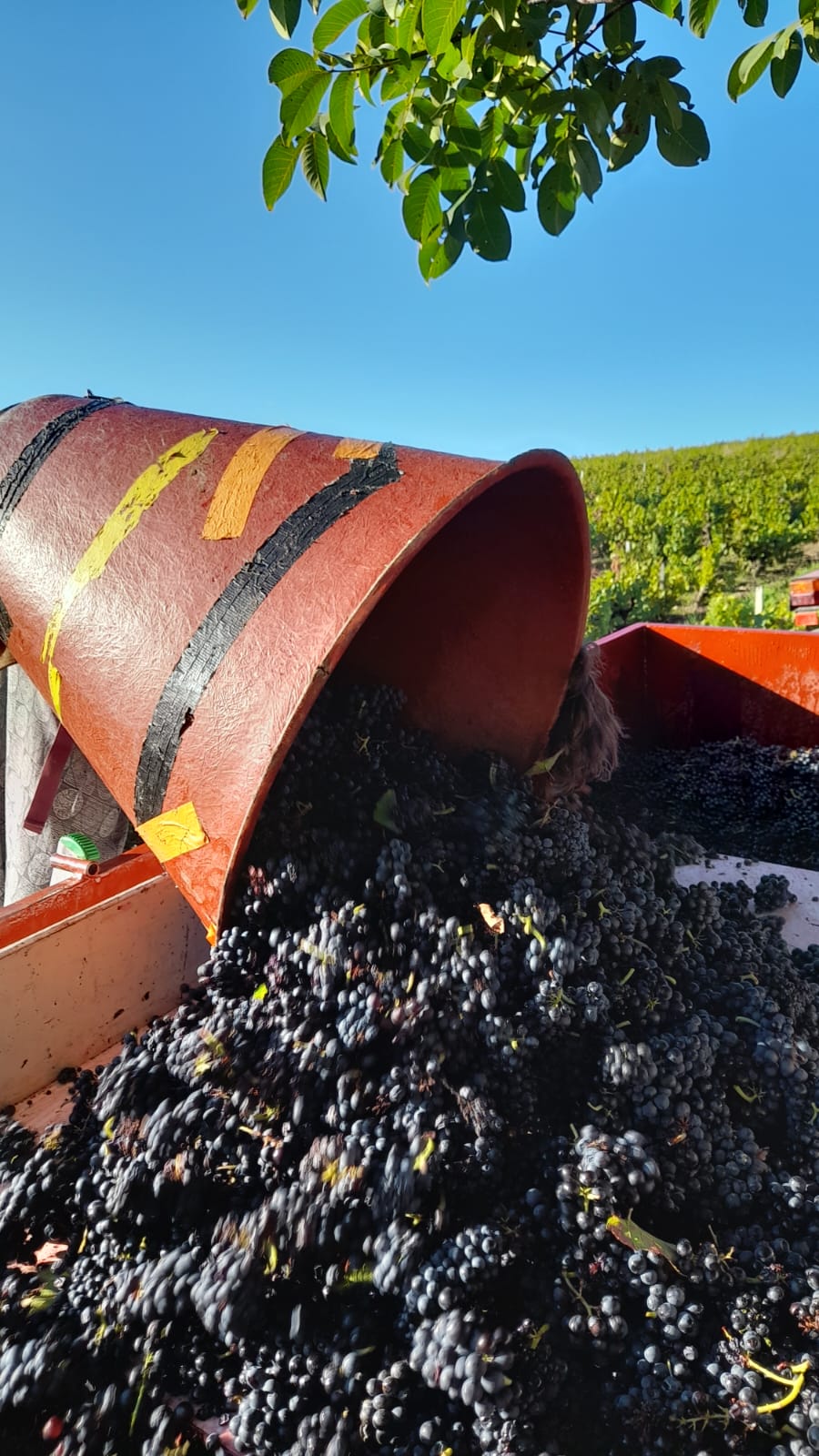 Galerie Domaine de la Rizolière 5