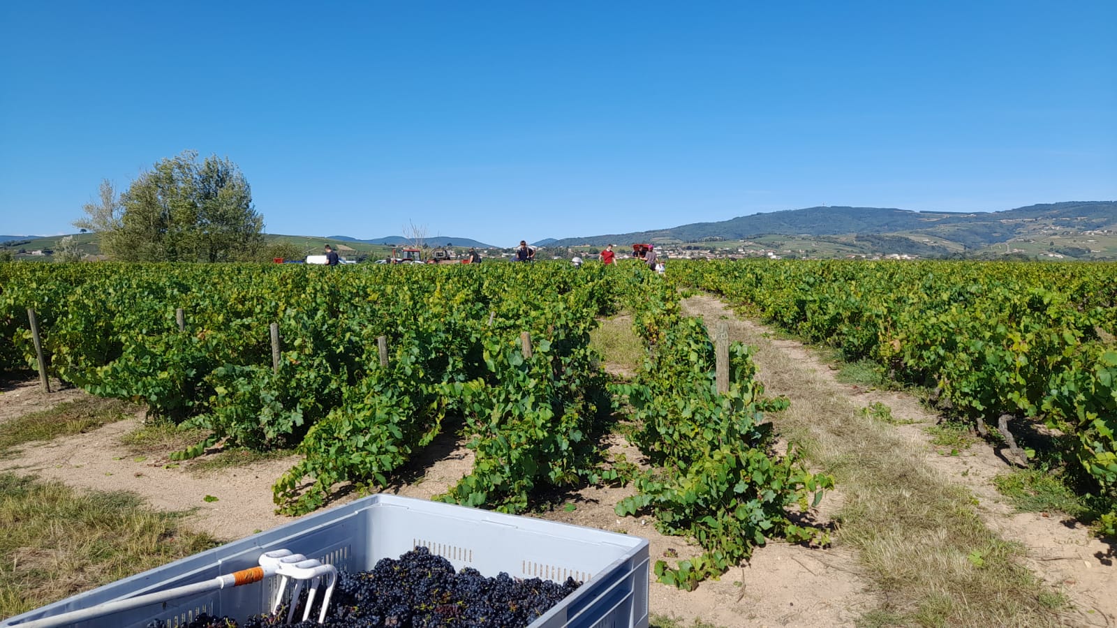 Galerie Domaine de la Rizolière 8